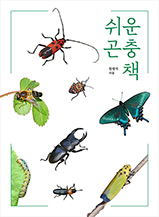 ���� ����å (������)